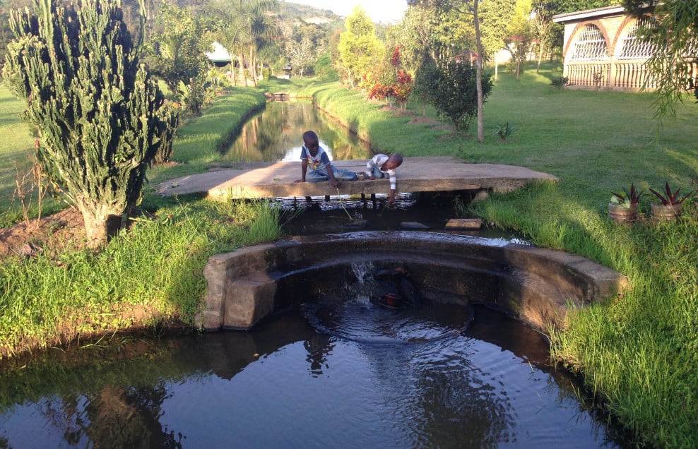 children playing outdoors