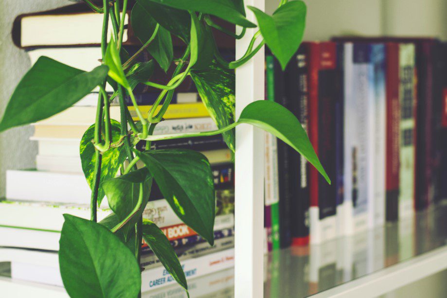 a library at home for children to read